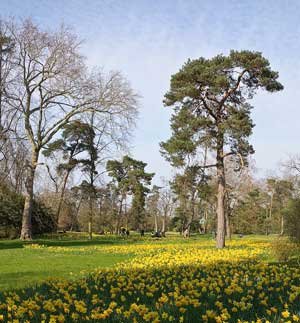Parc de Bagatelle au printemps photo